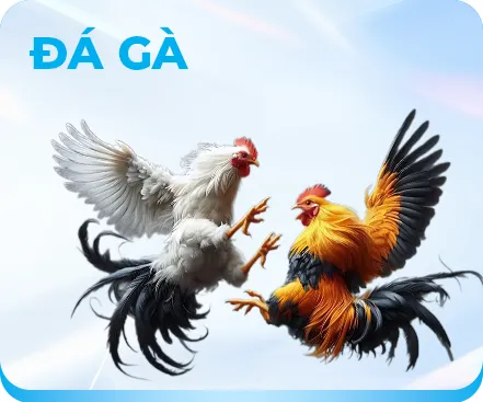 icon đá gà xx88